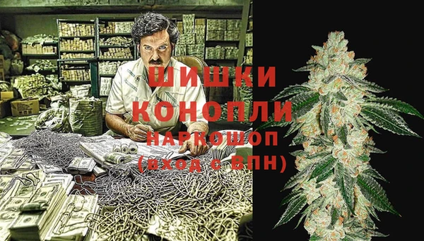 apvp Алексин