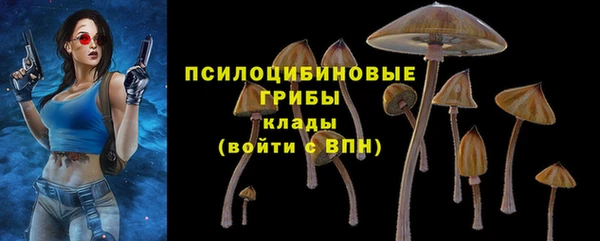 амф Абаза