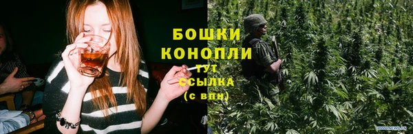 сатива Осинники