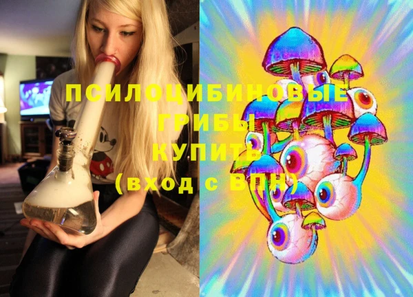 сатива Осинники