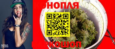 МДПВ Бердск
