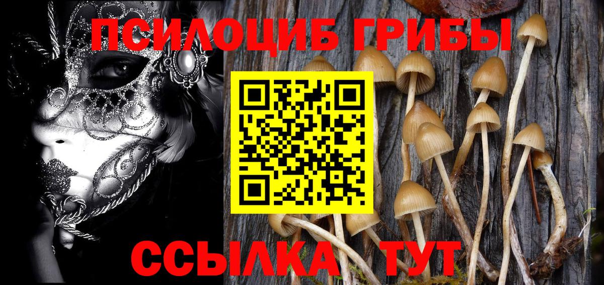 Псилоцибиновые грибы GOLDEN TEACHER Тейково