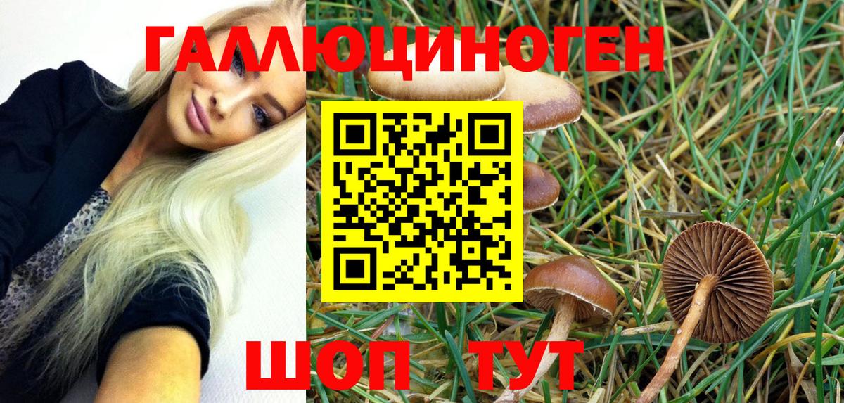 Галлюциногенные грибы мухоморы  Вход с VPN  Псилоцибиновые грибы Psilocybe  Тейково 