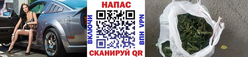 Канабис ГИДРОПОН  Тейково 